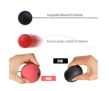 Boxing Reflex Ball with Headband